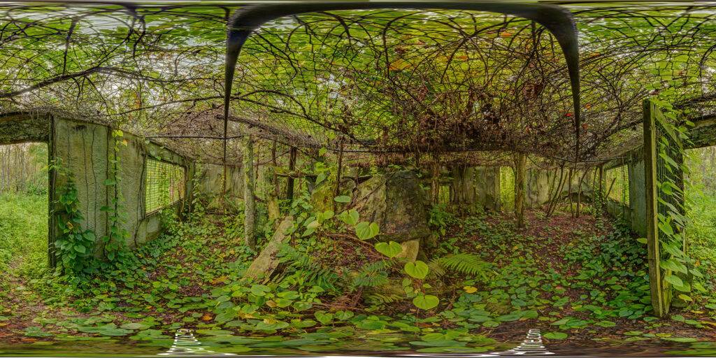 360-degree panoramic image captured inside a cage at the abandoned Jungleland Zoo in Kissimmee, Florida. 