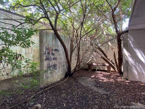 A Country Place Assisted Living Facility