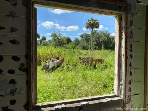 A Country Place Assisted Living Facility