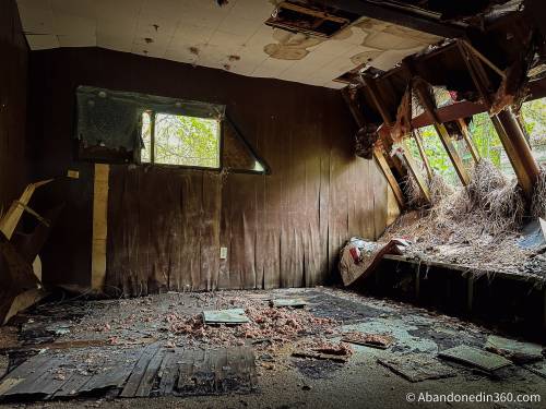 An abandoned A-Frame style house in Central Florida.