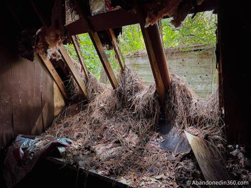 An abandoned A-Frame style house in Central Florida.