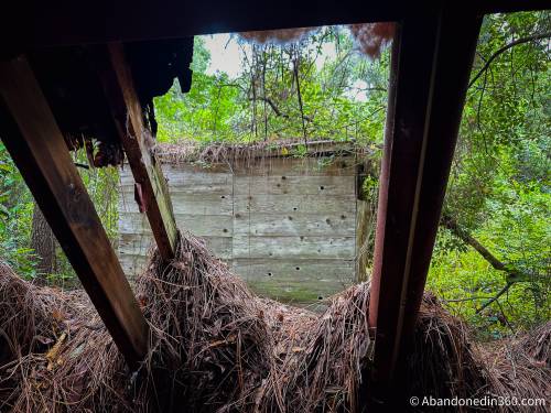 An abandoned A-Frame style house in Central Florida.