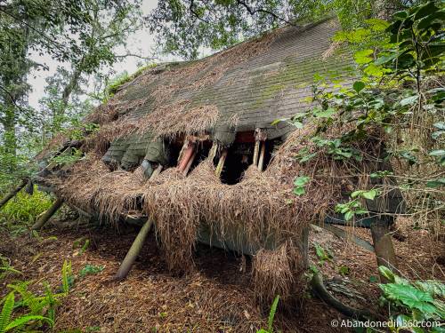 An abandoned A-Frame style house in Central Florida.