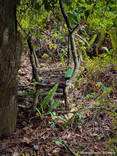 An abandoned A-Frame style house in Central Florida.