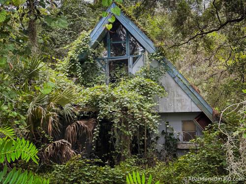 An abandoned A-Frame style house in Central Florida.