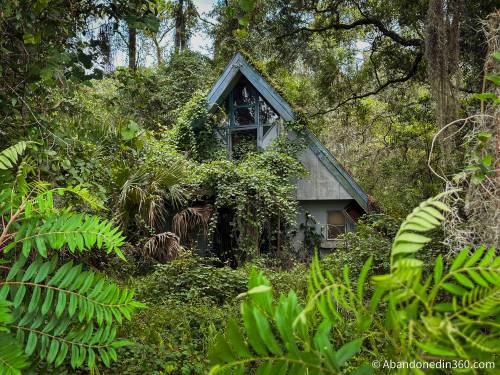 An abandoned A-Frame style house in Central Florida.