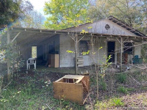 Abandoned House in Chiefland, Florida