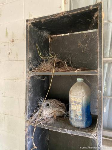 Abandoned House in Chiefland, Florida