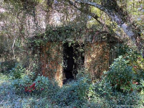 Abandoned House in Crawfordville, Florida