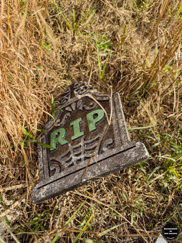 Abandoned Motel in Chiefland, Florida