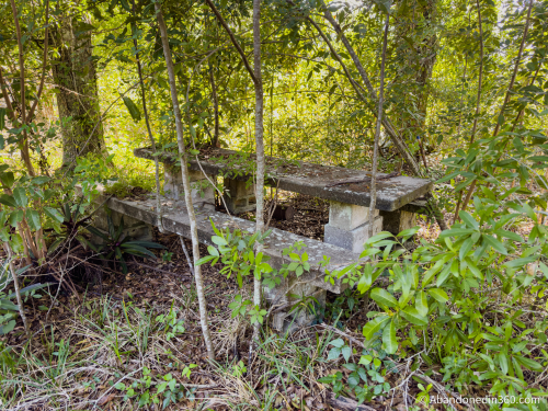 The abandoned Tice House in Florida.
