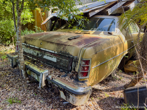 The abandoned Tice House in Florida.