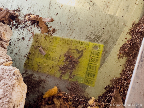 The abandoned Tice House in Florida.