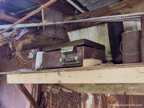 The abandoned Tice House in Florida.