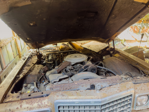 The abandoned Tice House in Florida.