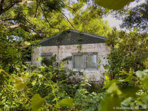 The abandoned Tice House in Florida.