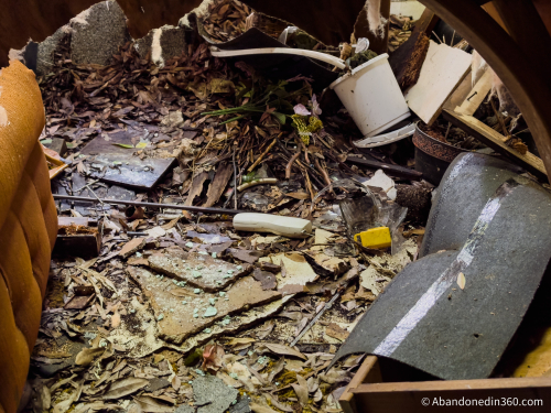 The abandoned Tice House in Florida.