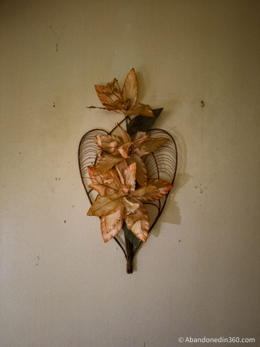 The abandoned Tice House in Florida.