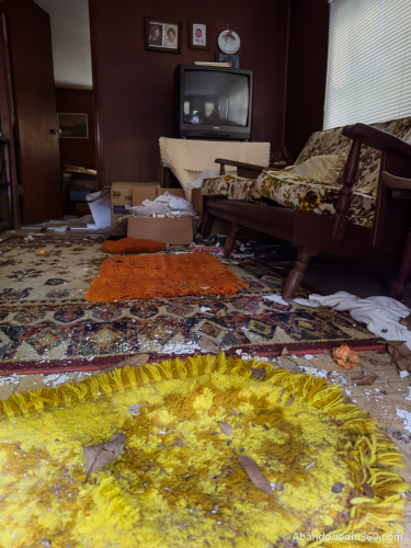 The abandoned Tice House in Florida.