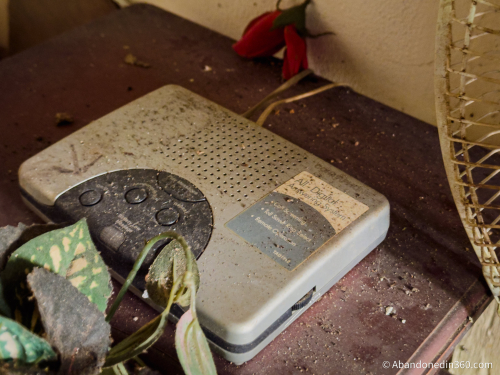 The abandoned Tice House in Florida.