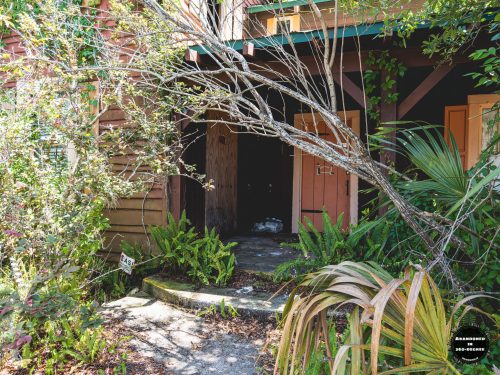 The Anything and Everything Shoppe