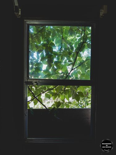 The Anything and Everything Shoppe