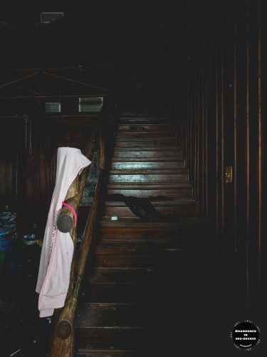 The Anything and Everything Shoppe