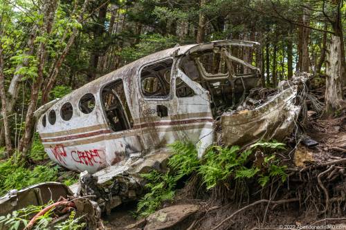Browning Knob Plane Wreck at Waterrock Knob Trail.
