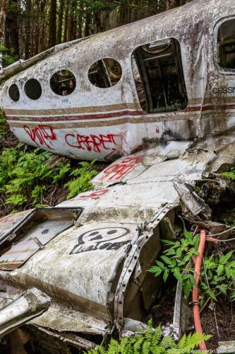 Browning Knob Plane Wreck at Waterrock Knob Trail.