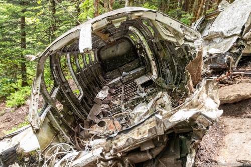 Browning Knob Plane Wreck at Waterrock Knob Trail.