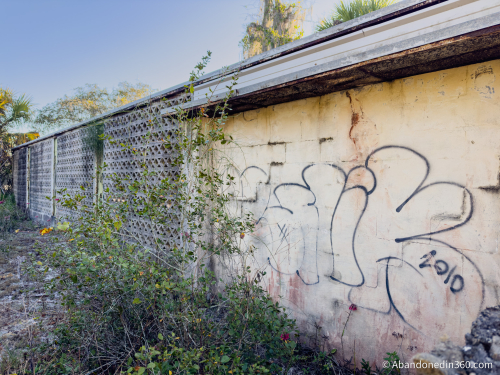 Tom Gaskins Cypress Knee Museum