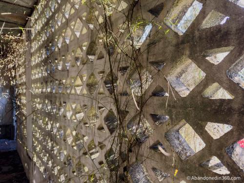 Tom Gaskins Cypress Knee Museum