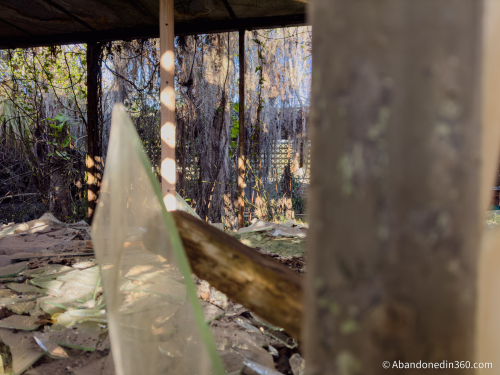 Tom Gaskins Cypress Knee Museum