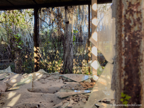 Tom Gaskins Cypress Knee Museum