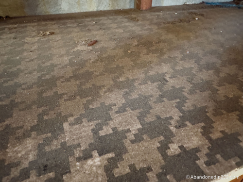 Tom Gaskins Cypress Knee Museum