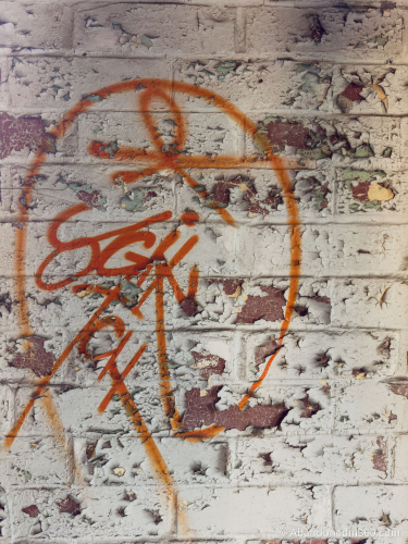 Tom Gaskins Cypress Knee Museum