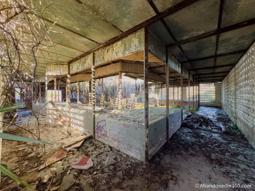 Tom Gaskins Cypress Knee Museum