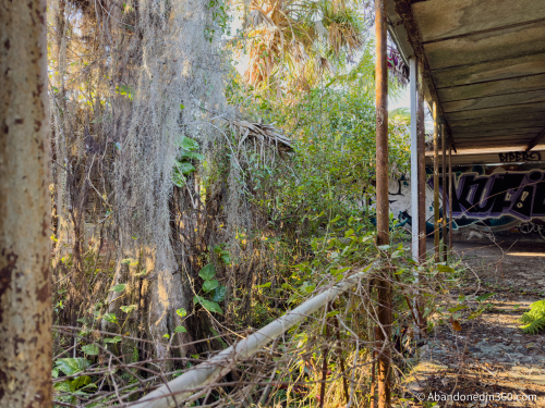 Tom Gaskins Cypress Knee Museum