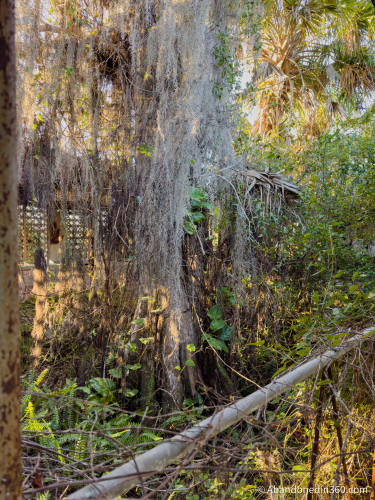 Tom Gaskins Cypress Knee Museum