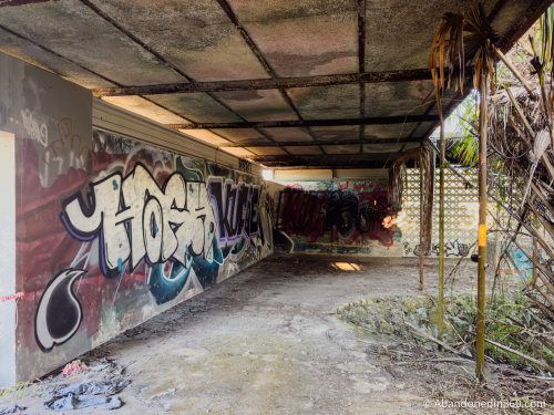 Tom Gaskins Cypress Knee Museum