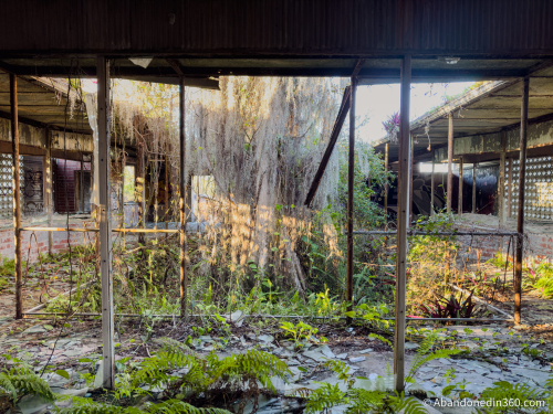 Tom Gaskins Cypress Knee Museum