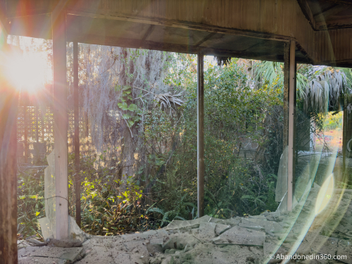 Tom Gaskins Cypress Knee Museum