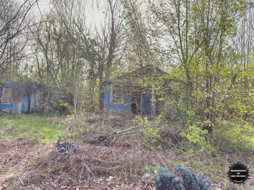 Hyde Park Neighborhood