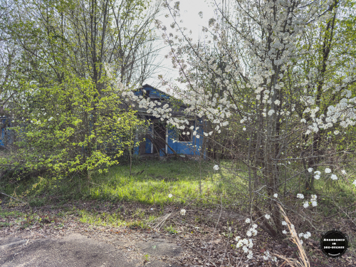 Hyde Park Neighborhood