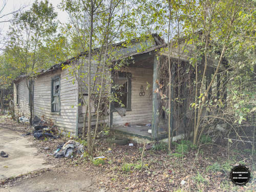 Hyde Park Neighborhood