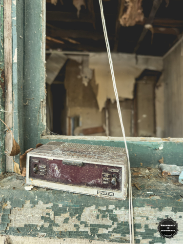 Hyde Park Neighborhood