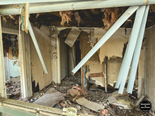 Hyde Park Neighborhood