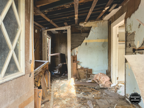 Hyde Park Neighborhood