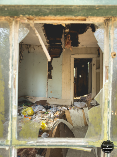 Hyde Park Neighborhood