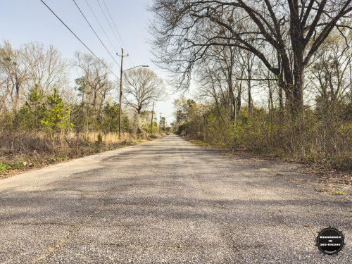 Hyde Park Neighborhood